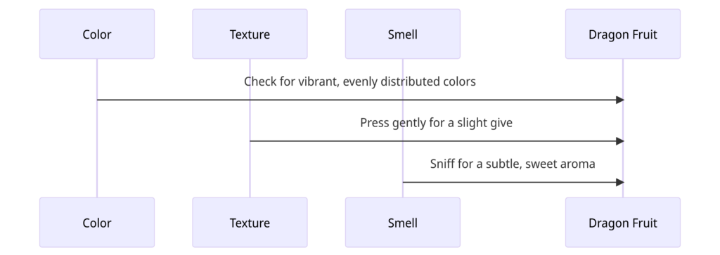 dragon fruit taste diagram