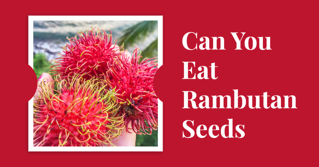 can you eat rambutan seeds